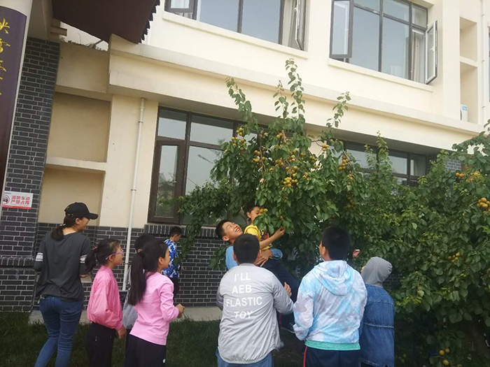 51812.jpg 51812.jpg