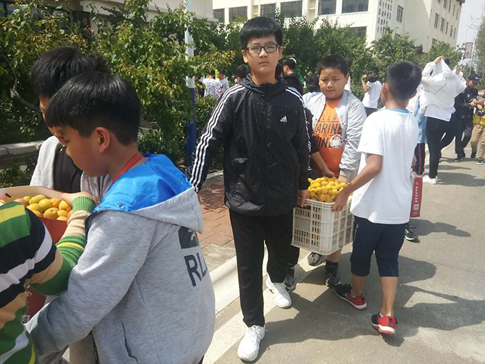 51815.jpg 51815.jpg