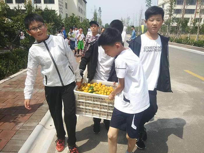 51816.jpg 51816.jpg