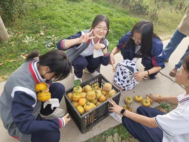 图片2.jpg