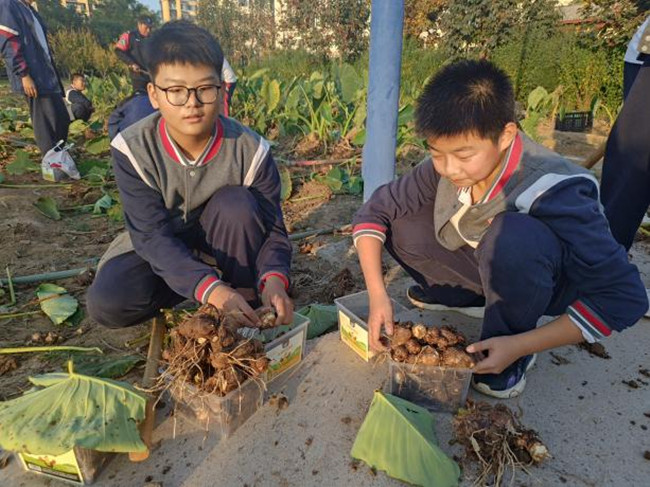 图片3.jpg