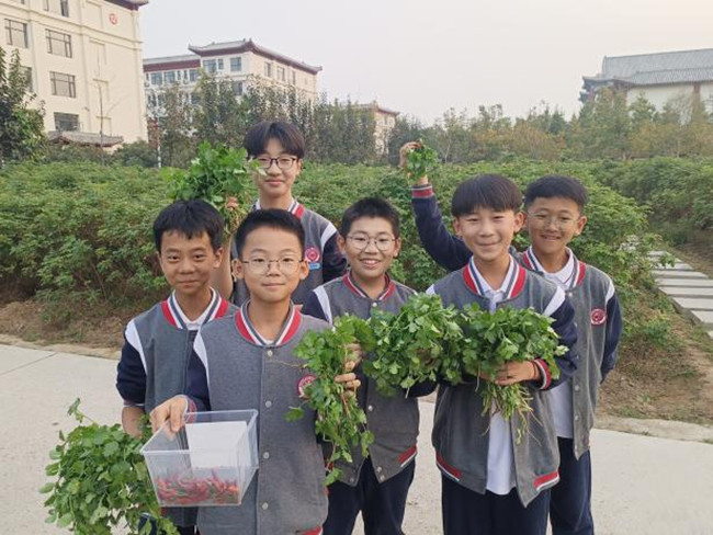 图片5.jpg
